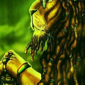 Meet your Posher, Everett